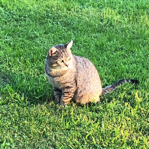 Meet your Posher! - Picture 1 of 1